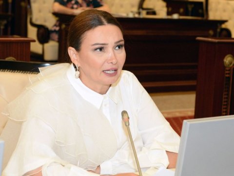 “Səfərə gedəndə deyirlər ki, dərman al gətir” – Komitə sədri