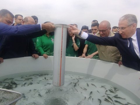 Xaçınçay su anbarına balıq körpələri buraxıldı - FOTOLAR