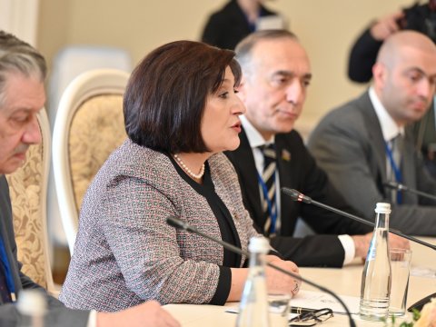 Ermənistan regional sülhü təhdid edir - Spiker