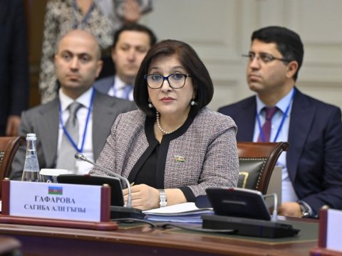 Sahibə Qafarova MDB-nin iclasında - FOTOLAR