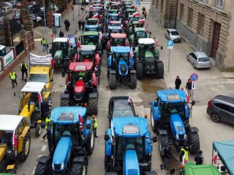 Polşa Ukraynadan taxıl alışını dayandırır 