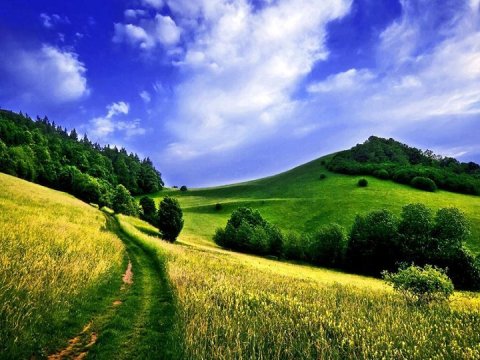 Sabahın havası - Duman, külək, 24 dərəcə isti