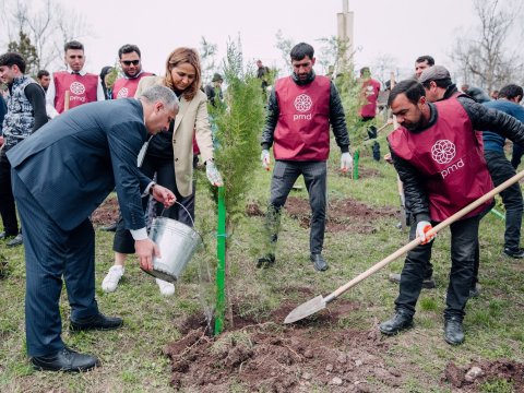 Növbəti 3 rayonda “Vətən Bağı” salındı