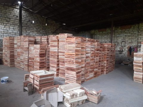 Göyçayda qanunsuz taxta sexləri aşkarlandı