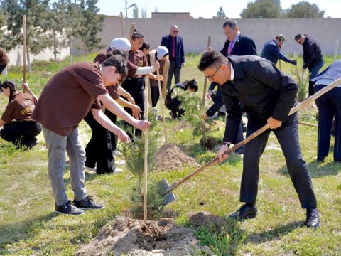 Qala Qoruğunda ağacəkmə aksiyası keçirilib - FOTOLAR