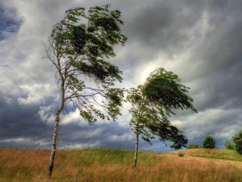 Bu günün hava PROQNOZU