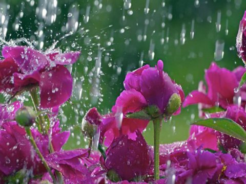 Sabahın havası - Yağış, qar, 25 dərəcə isti...