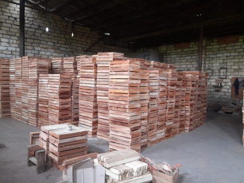 Qanunsuz fəaliyyət göstərən taxta sexləri aşkarlandı