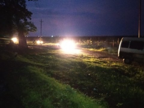 Güclü külək ağacları aşırdı, yol bağlandı 