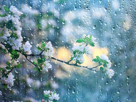 Yağış, qar, külək - Günün havası