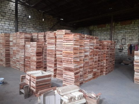 İcazəsiz fəaliyyət göstərən taxta sexləri aşkarlandı