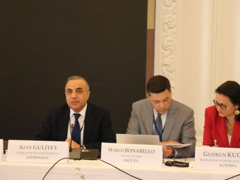 Azay Quliyev ATƏT PA-da sərhəd məntəqəsindən danışdı 