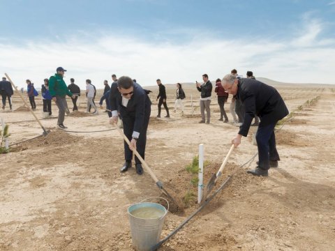 “Heydər Əliyev ili”ndə növbəti ağacəkmə aksiyası - FOTOLAR 