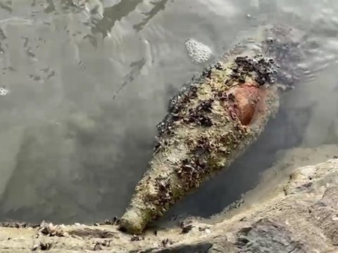 Sumqayıtda hərbi sursat aşkarlandı - VİDEO