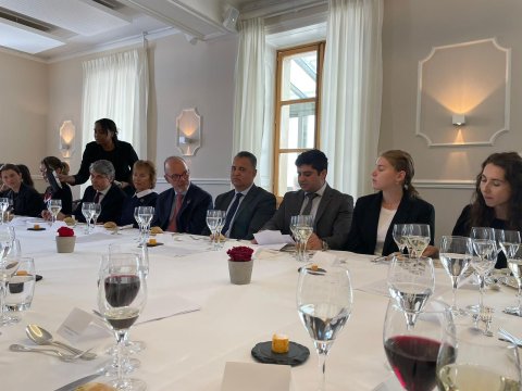 Diaspor fəalı BMT-nin diqqətini müasir çağırışlara yönəldib