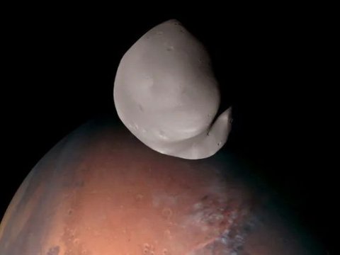 Alimlər indiyədək səhv etdiklərini anladılar - VİDEO