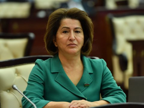 Himayədar ailələrin tətbiqi müsbət haldır - Deputat