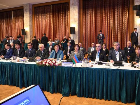 Spiker TÜRKPA-nın plenar iclasında çıxış edib - FOTO 