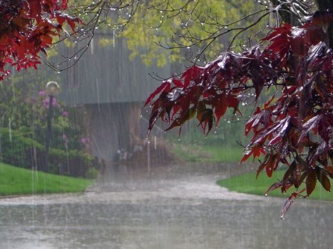 Günün havası - Yağış, 29 dərəcə isti...