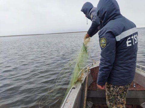 Bu gündən balıq ovu qadağandır
