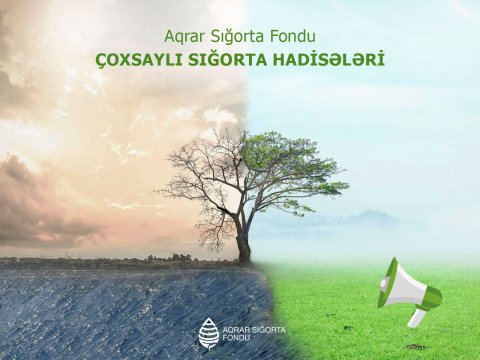 Təsərrüfatlara dəymiş zərər HESABLANIR