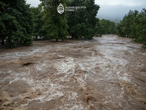 Fermerler ziyana görə Aqrar Sığorta Fonduna müraciət etdilər
