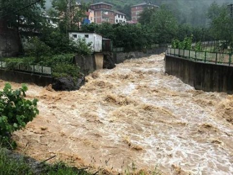 Sel və doludan zərərçəkən 124 fermer nazirliyə müraciət edib