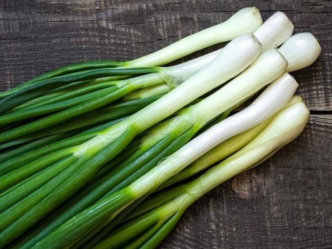 Göy soğan yaşlı insanları insultdan qoruyur