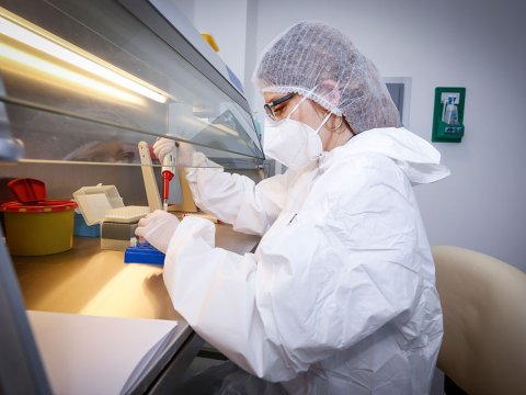 Sağalanlar yoluxanları üstələdi - 5 nəfər öldü