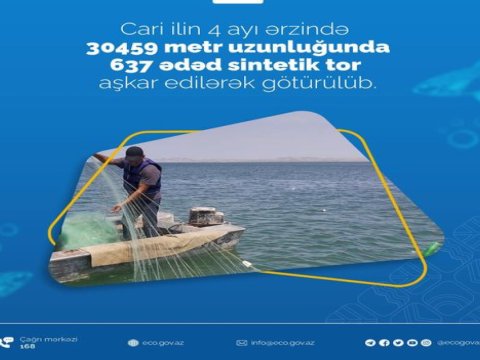 Su hövzələrində yüzlərlə sintetik tor aşkarlandı