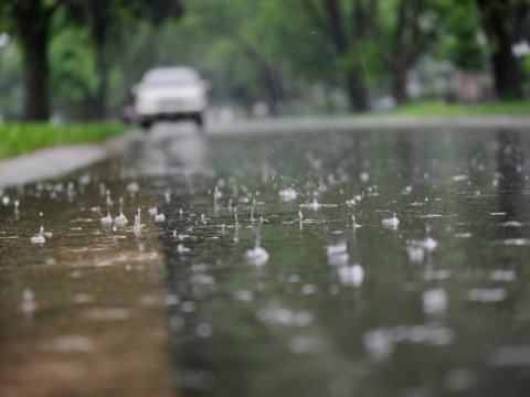 Yenə yağış yağacaq - Günün havası
