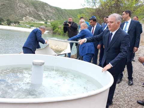 Suqovuşan su anbarına balıq körpələri buraxılıb