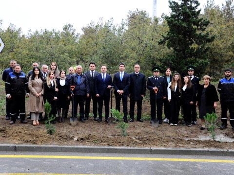 “Heydər Əliyev İli” çərçivəsində ağacəkmə aksiyası keçirilib