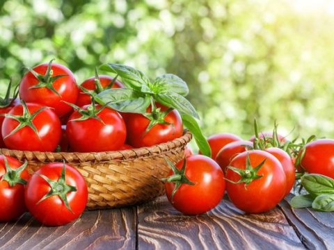 Pomidorun insan orqanizmi üçün FAYDALARI