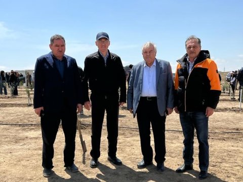 Deputatlar ağacəkmə aksiyasında - FOTOLAR