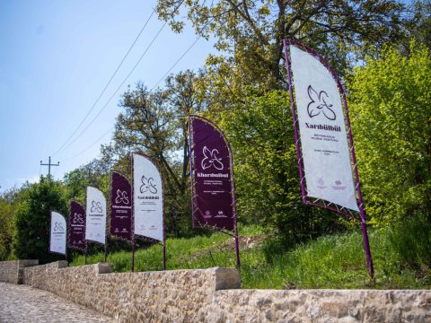 Şuşa “Xarıbülbül” festivalına hazırlaşır - FOTOLAR