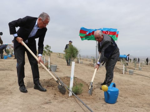 Hökumət üzvləri ağacəkmə aksiyasında - FOTOLAR