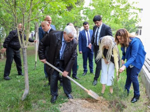 ADU-da ağacəkmə aksiyası - FOTOLAR