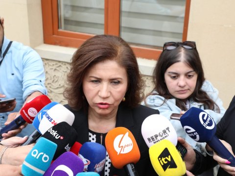 Bahar Muradova 7 yaşlı Fəridin ölümünə münasibət bildirdi