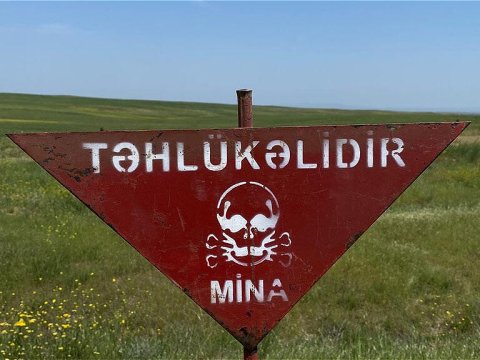 Görünməz “qatil” – Bu bəladan necə xilas ola bilərik…