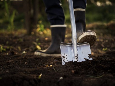 20 il əvvəl bacısını öldürüb həyətdə basdıran şəxs TUTULDU