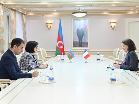 Sahibə Qafarova Fransanın qərəzli qətnamələrini pislədi