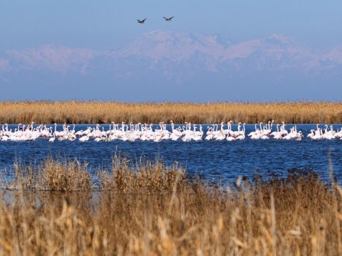 Milli parklara getmək istəyənlərin NƏZƏRİNƏ