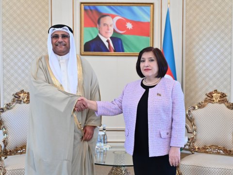 Sahibə Qafarova Ərəb Parlamentinin sədri ilə görüşdü - FOTO
