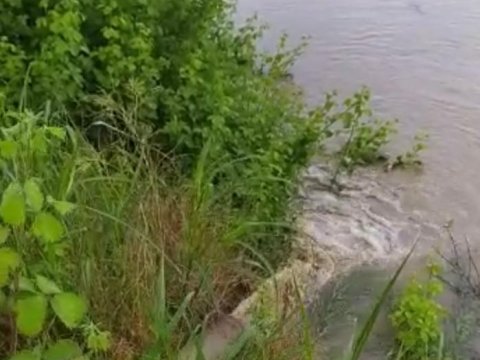 Astarada evləri su basıb - VİDEO