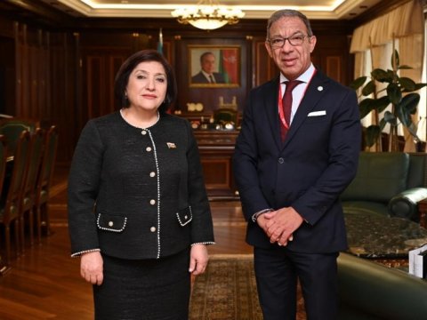 Sahibə Qafarova serbiyalı həmkarına təşəkkür etdi 