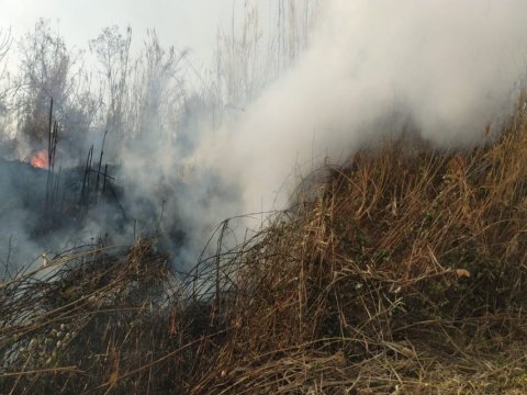 İsmayıllıda qəsdən yanğın törətdilər - VİDEO