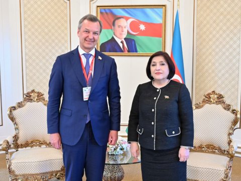 Sahibə Qafarova Andrey Yatskinlə görüşüb