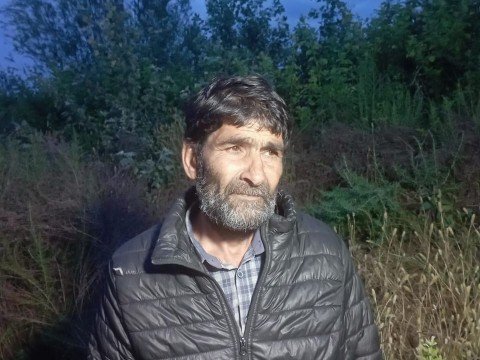 Həyətində çətənə kolları yetişdirən şəxs saxlanıldı