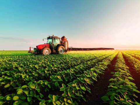 Azad olunmuş ərazilər bizi idxaldan xilas edəcək - MÜSAHİBƏ